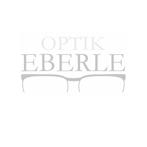Systemschub - Referenz Optik Eberle